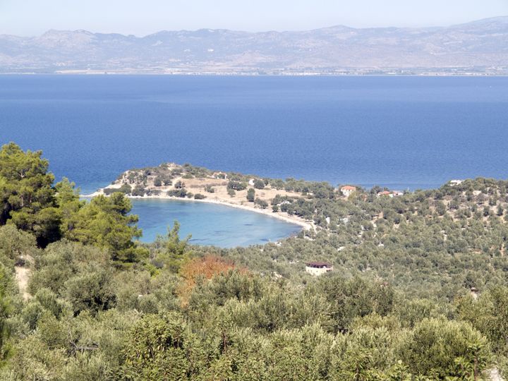 Researchers may have found the ancient Greek city of Kane off Turkey's coast.