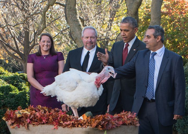 President Barack Obama pardons turkey Abe in the Rose Garden of the White House on Wednesday.