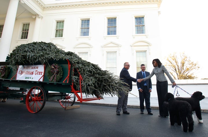 This year's official White House Christmas tree is 18.5 feet tall.