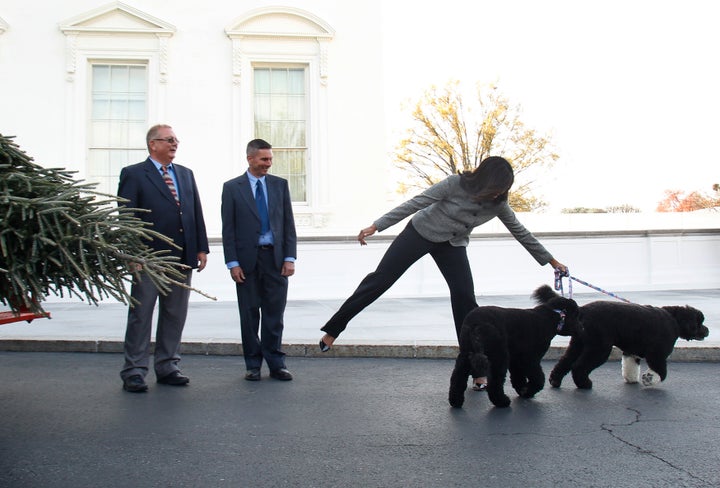 Sunny and Bo Obama seemed pretty excited.