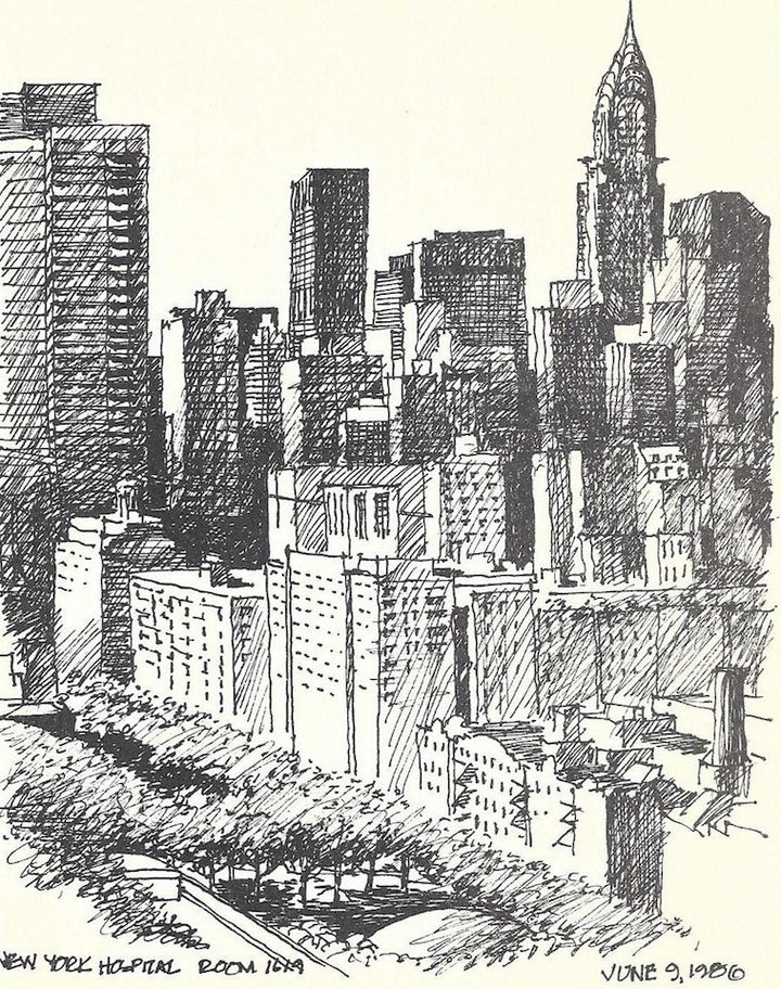 <em>New York Hospital Room 1619</em>, Jim Terrell