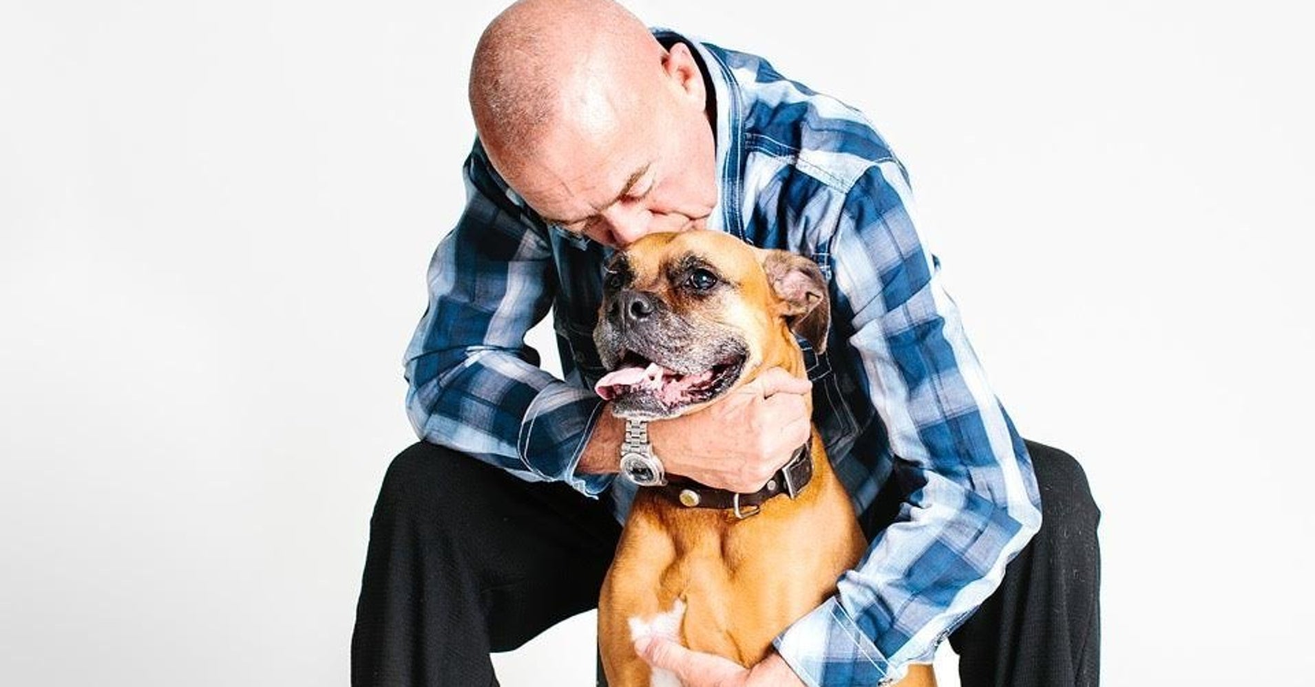 How Dogs Can Transform The Lives Of People With HIV And AIDS HuffPost
