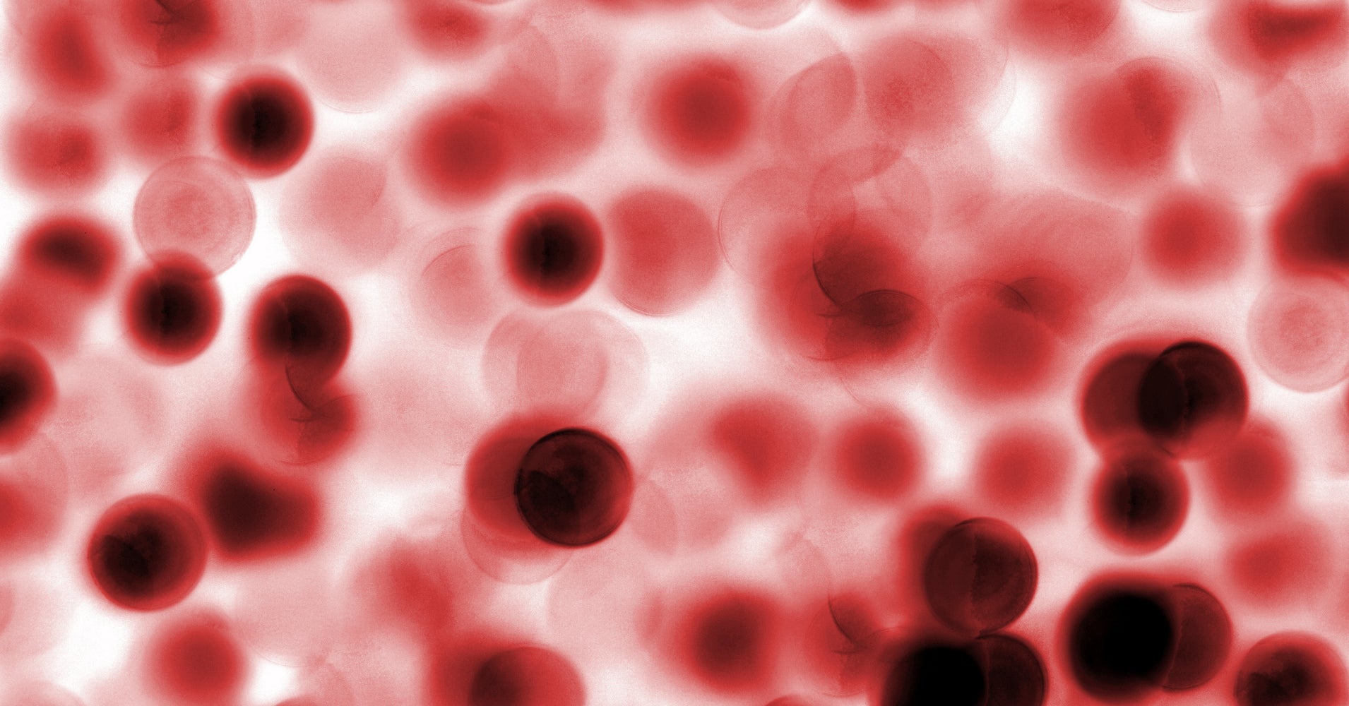 Do You Know Your Biological Age? This Blood Test Can Tell You. HuffPost