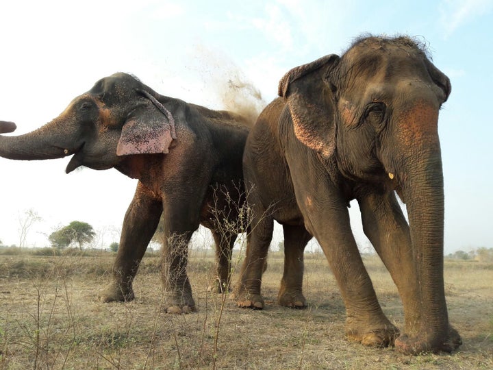 During a pit stop, both girls find out that mud baths are everything they hoped they'd be and more.