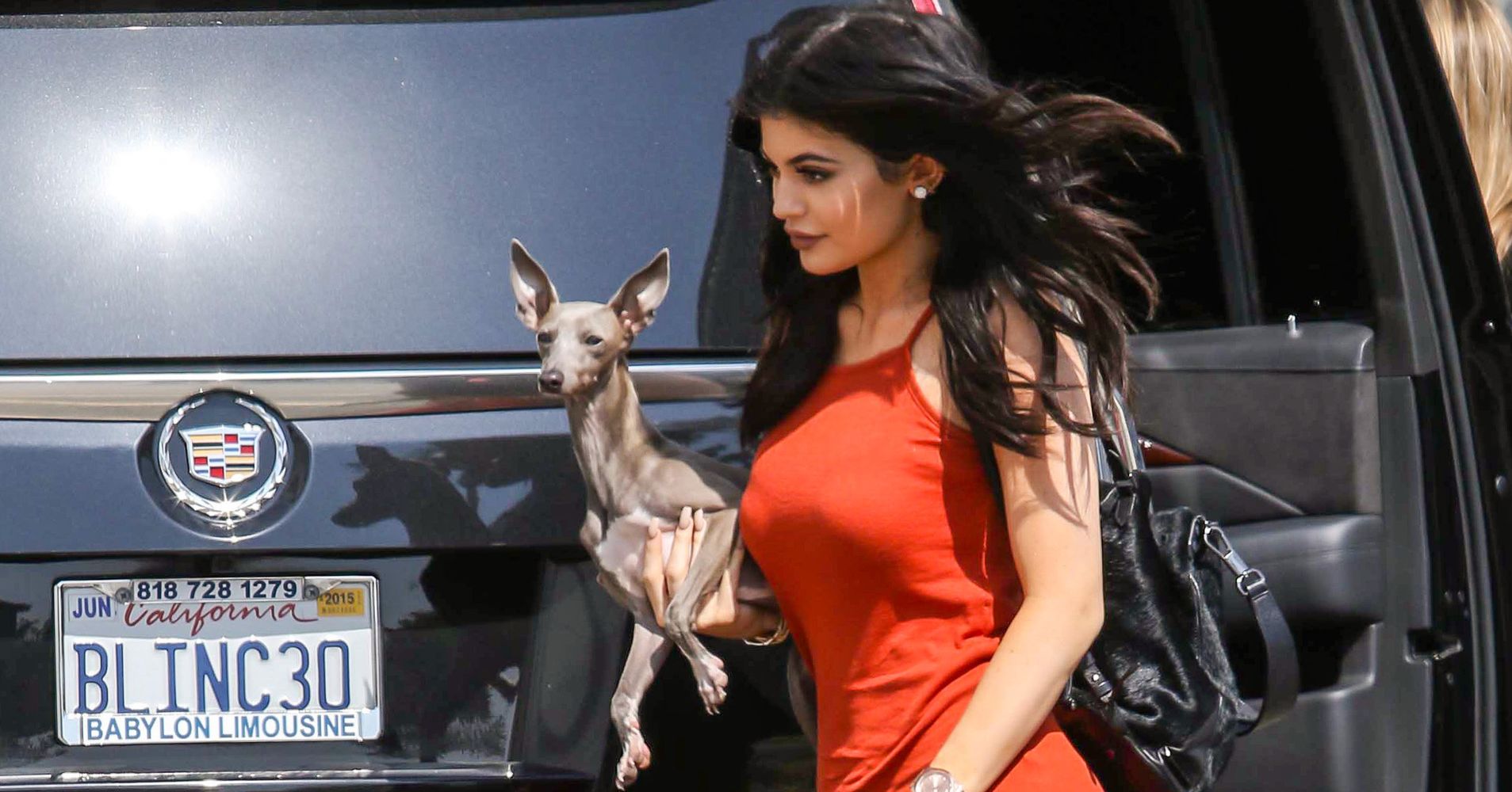 Kylie Jenner Cleared Of Animal Abuse Charges By Animal Control | HuffPost