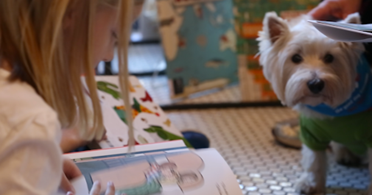 Therapy Dogs Help Teach Elementary Students That Reading Isn't Ruff ...