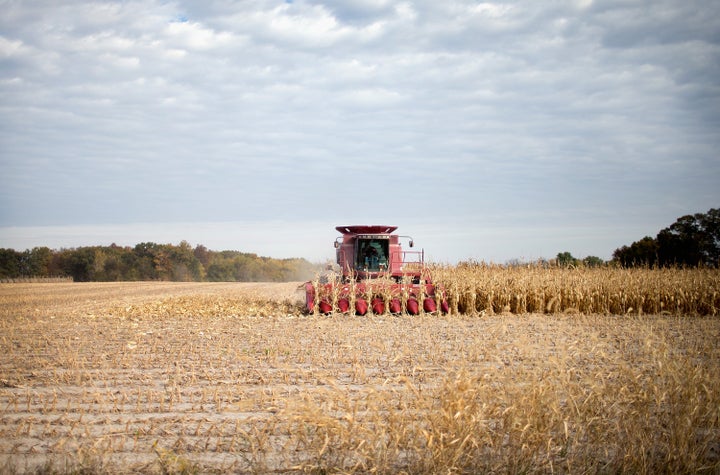 Farmer Rick Wirt harvests corn on October 22, 2015 near Burlington, Iowa.