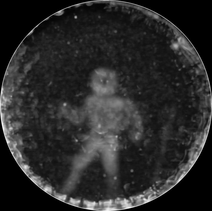This image of the diver was reproduced from the CymaScope record of the dolphin's echolocation, showing the submerged man as the dolphin is believed to perceive him.