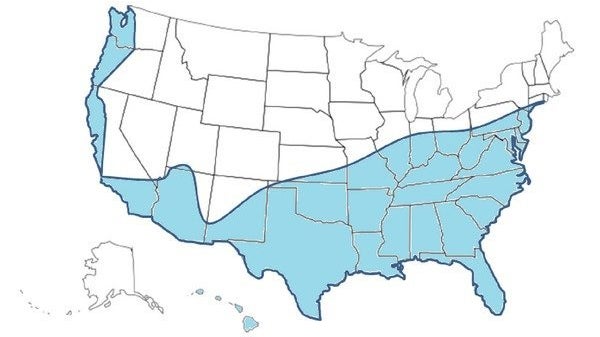 Map of the U.S. showing the areas at risk of dengue outbreaks, based on the approximate distribution of dengue mosquito vectors Aedes aegypti and Aedes albopictus.