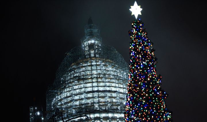 The 2015 Capitol Christmas tree is a 74-foot Lutz spruce from Alaska.