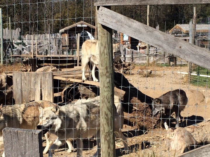 farm petting zoo mn