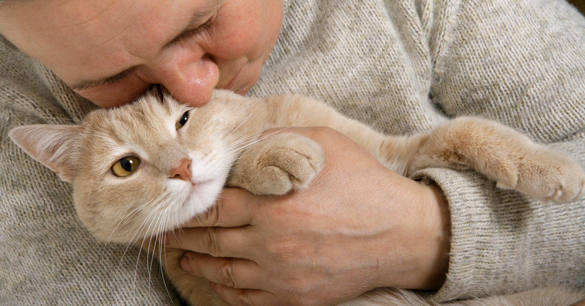What cat spray smells like