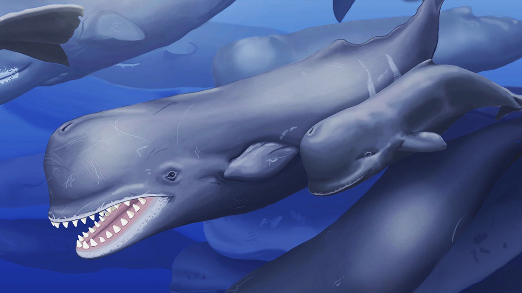 Левиафан Мелвилла Моби Дик