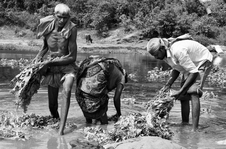 People wash leafy vegetables in a river where nuclear waste is released. The vegetables are then sold in local