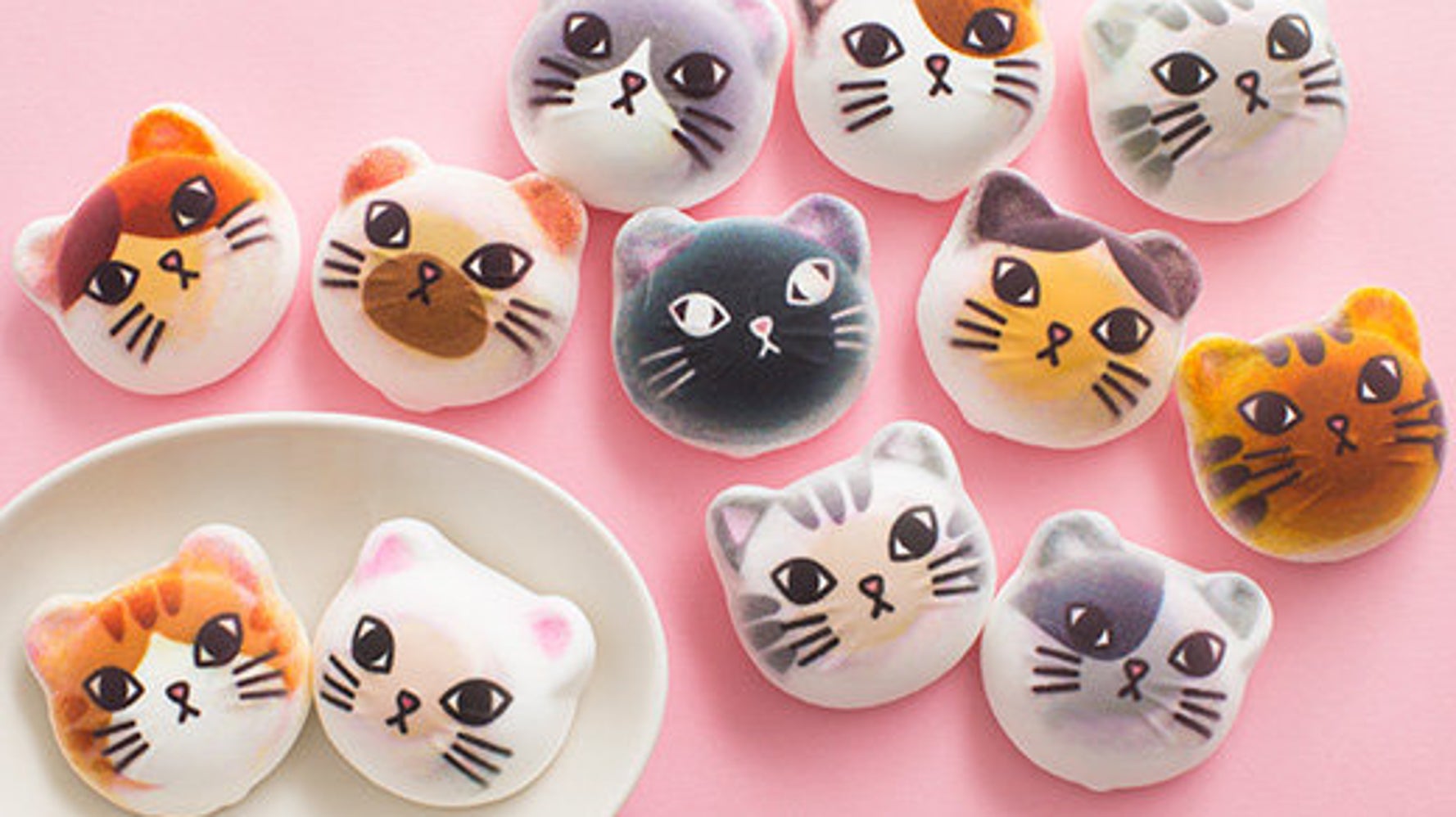 Marshmallow for cats best sale