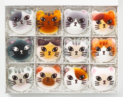 Squishy best sale marshmallow kittens