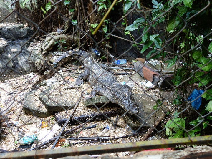 <a href="http://ryanmcg.co.uk/index.php/2015/02/10/abandoned-water-park-aquarium-vietnam/" role="link" class=" js-entry-link cet-external-link" data-vars-item-name="ryanmcg.co.uk" data-vars-item-type="text" data-vars-unit-name="567318c4e4b0dfd4bcc10c26" data-vars-unit-type="buzz_body" data-vars-target-content-id="http://ryanmcg.co.uk/index.php/2015/02/10/abandoned-water-park-aquarium-vietnam/" data-vars-target-content-type="url" data-vars-type="web_external_link" data-vars-subunit-name="article_body" data-vars-subunit-type="component" data-vars-position-in-subunit="10">ryanmcg.co.uk</a>