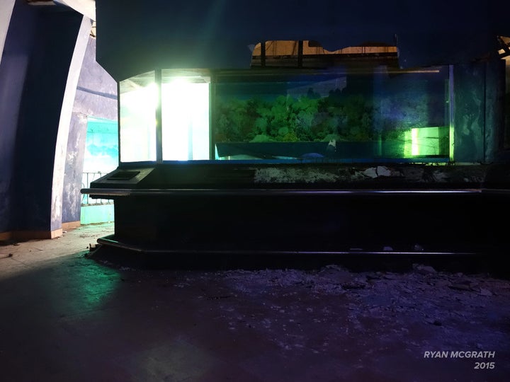 <a href="http://ryanmcg.co.uk/index.php/2015/02/10/abandoned-water-park-aquarium-vietnam/" role="link" class=" js-entry-link cet-external-link" data-vars-item-name="ryanmcg.co.uk" data-vars-item-type="text" data-vars-unit-name="567318c4e4b0dfd4bcc10c26" data-vars-unit-type="buzz_body" data-vars-target-content-id="http://ryanmcg.co.uk/index.php/2015/02/10/abandoned-water-park-aquarium-vietnam/" data-vars-target-content-type="url" data-vars-type="web_external_link" data-vars-subunit-name="article_body" data-vars-subunit-type="component" data-vars-position-in-subunit="23">ryanmcg.co.uk</a>