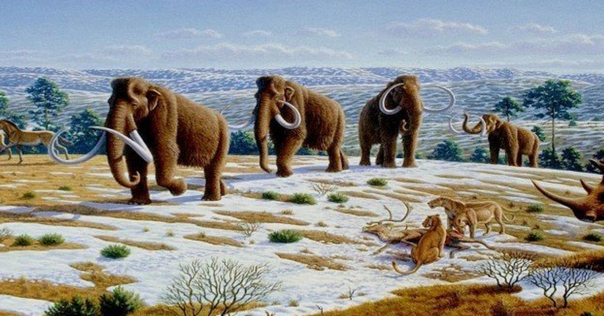 We May Resurrect The Mammoth Sooner Than You Think | HuffPost Impact