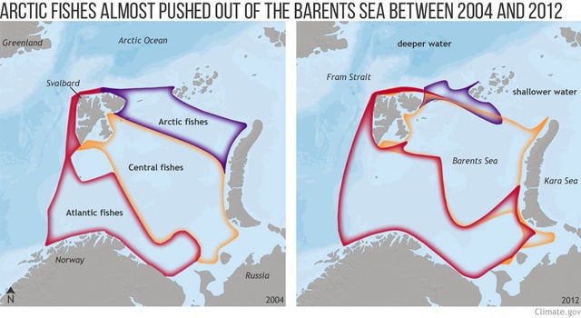 Range of warm-water and cold-water fishes in the Barents Sea during surveys in 2004 (left) and 2012 (right).