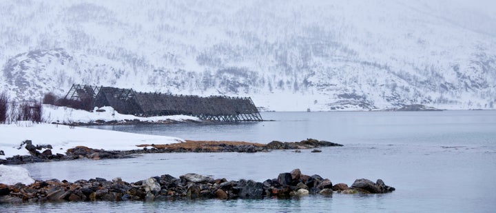 The report says Arctic ecosystems will be further damaged by contaminants, acidifying waters and habitat loss as waning
