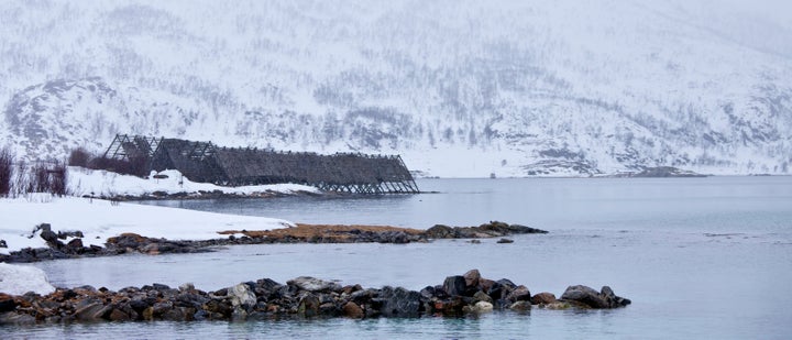 The report says Arctic ecosystems will be further damaged by contaminants, acidifying waters and habitat loss as waning sea ice opens the region to activities such as shipping, mining and oil drilling.