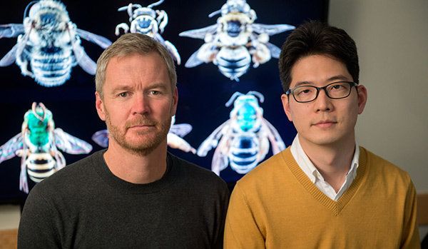 A research team led by Insu Koh (right) and Taylor Ricketts, bee experts at the University of Vermont's Gund Institute for Ecological Economics, estimates that wild bee abundance between 2008 and 2013 declined in 23 percent of the contiguous U.S., threatening crops.