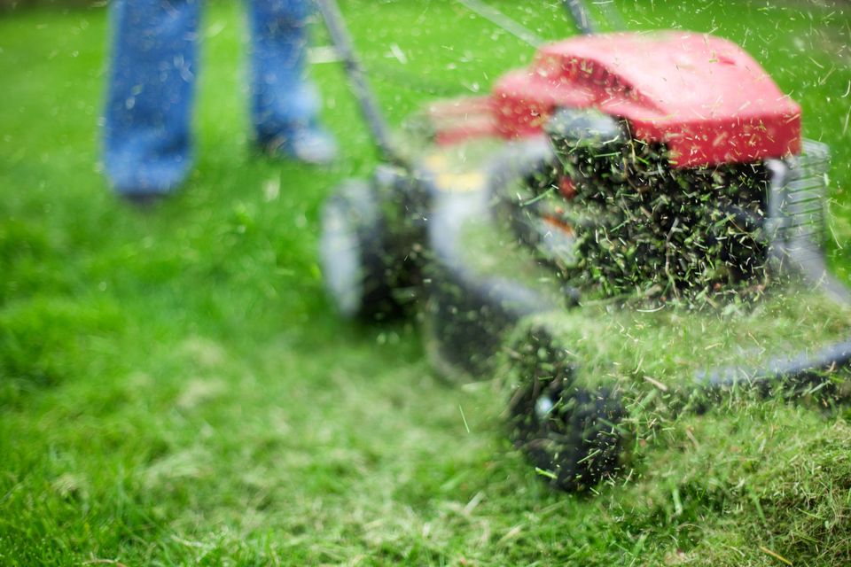 Because of gay marriage, people will soon want to marry their lawnmowers