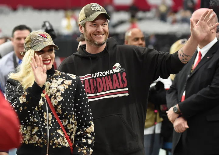 Blake Shelton quote: Anytime that the Arizona Cardinals play football, I  scream at