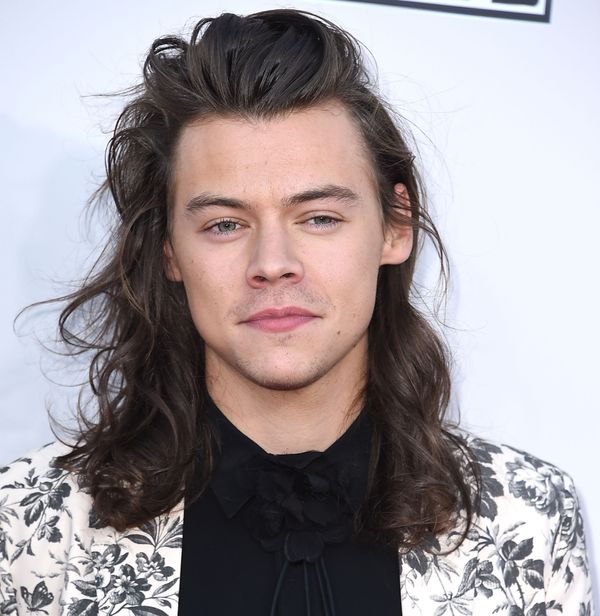 10 Much-Needed Reminders That Harry Styles Did Not Cut His Hair | HuffPost