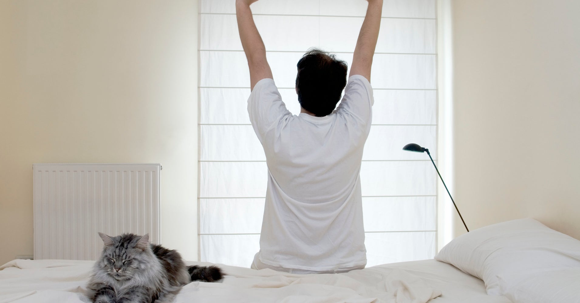 Scientists Now Know How Your Brain Wakes You Up HuffPost