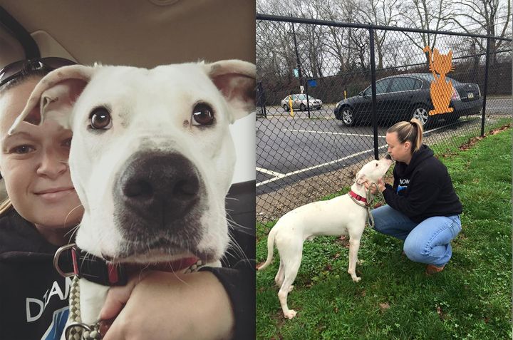 Pennsylvania dog rescue group Diamonds in the Ruff has taken in Needy in hopes of helping him find a forever home.