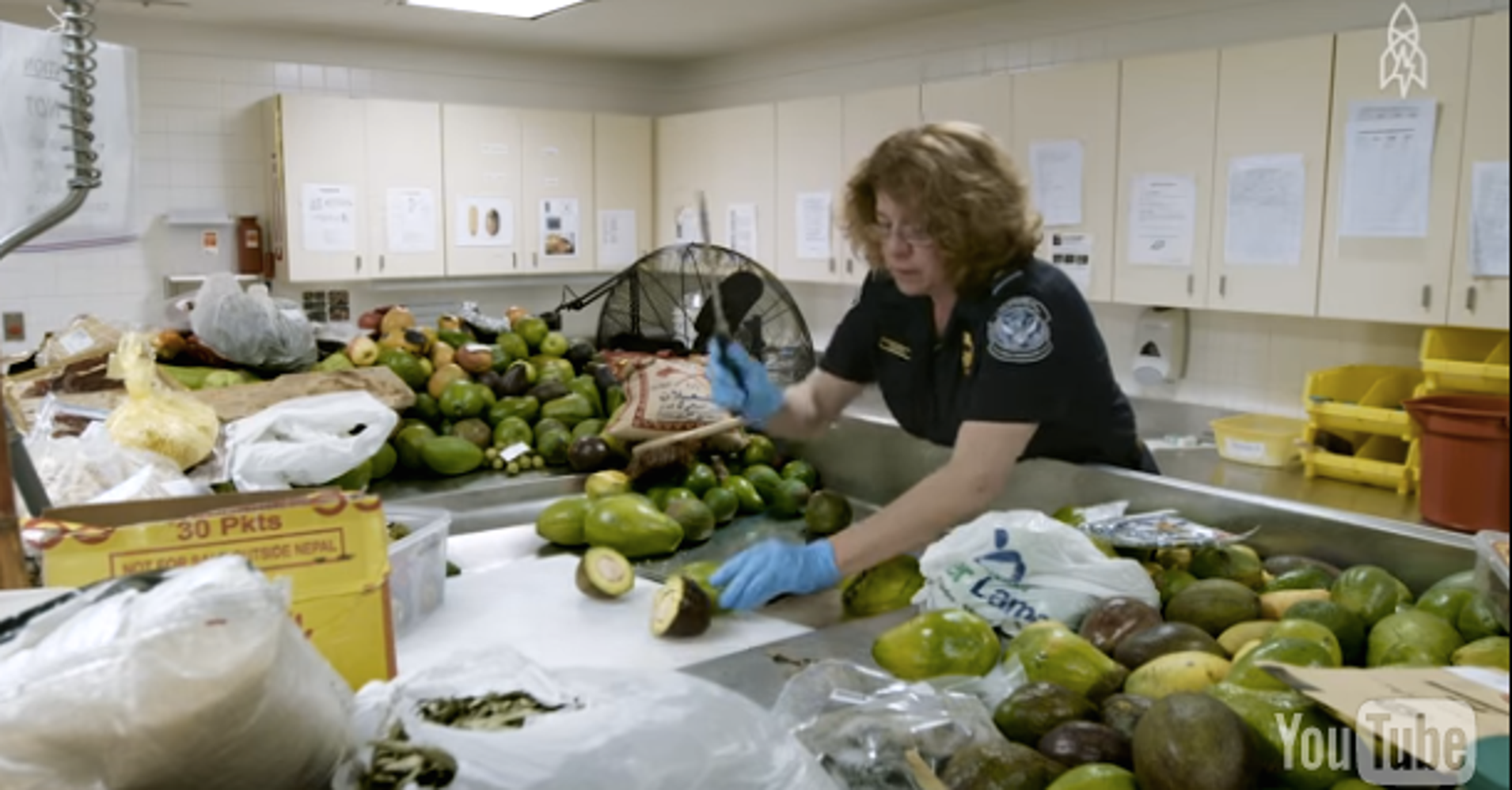 Here's What Airport Customs REALLY Does With Your Contraband Food