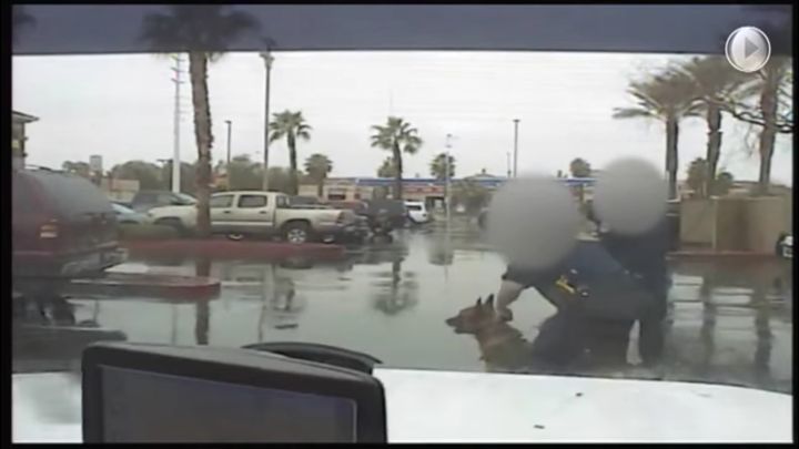 A K9 officer is seen holding a police dog moments before releasing him during a Jan. 30 investigation outside of a Henderson, Nev., shopping plaza.