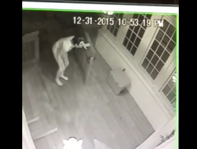 A man wearing only a sock and a rubber mask was filmed prowling around outside an Alabama couple's home New Year's Eve.