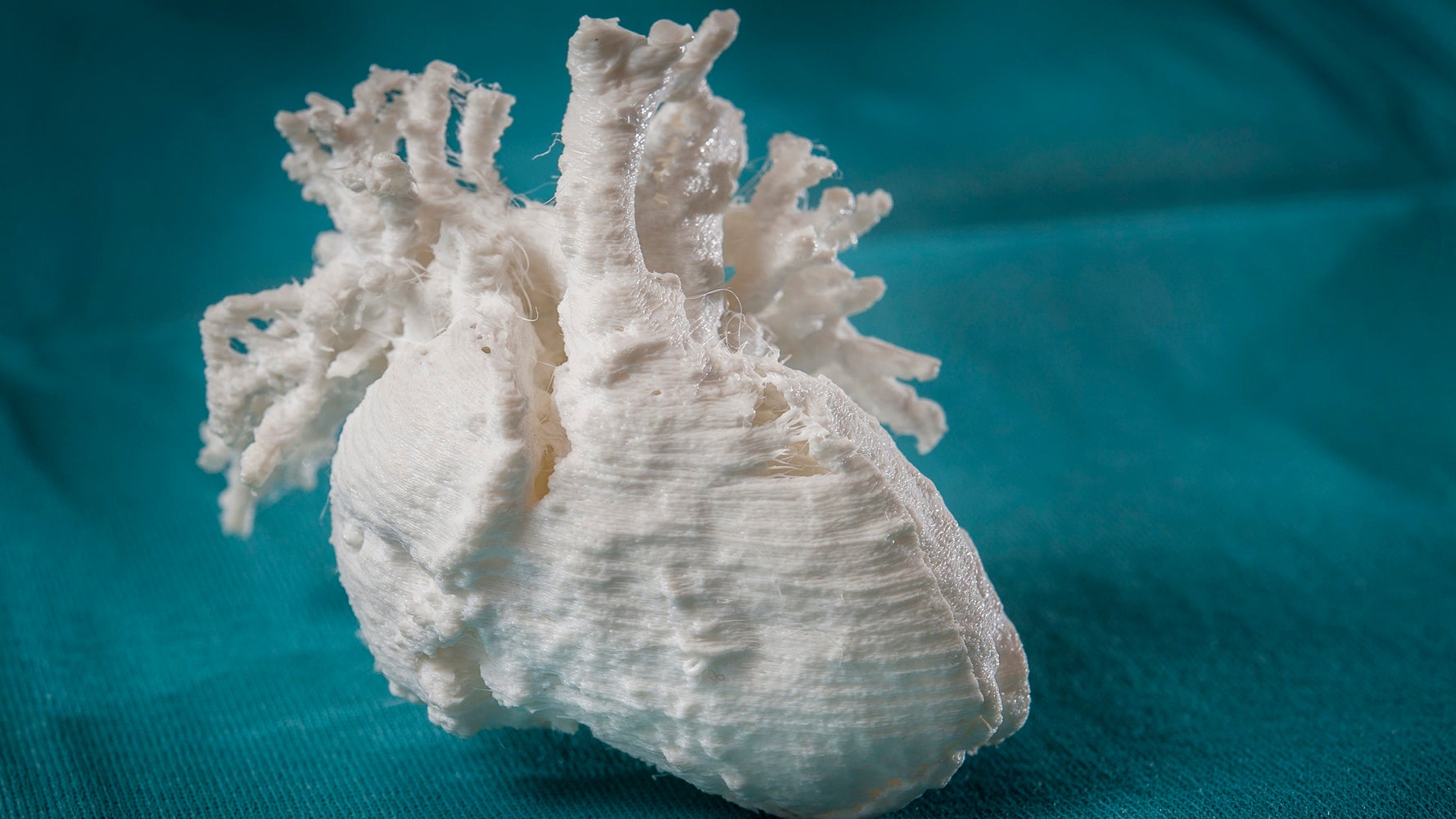Printable Organs Are Closer Than Ever Thanks To Three Bioprinting