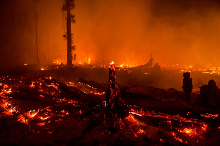 El Nino greatly exacerbated the dry season in Indonesia last year, intensifying the country's already-challenging battle against raging forest fires and haze.