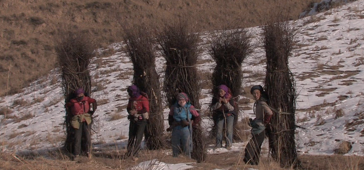 Rural women in the Himalayas carry wood bundles home over snowy pathways.