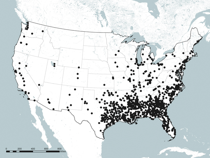 The students created an "MLK Atlas" that mapped all the streets named after Dr. King in the continental U.S.