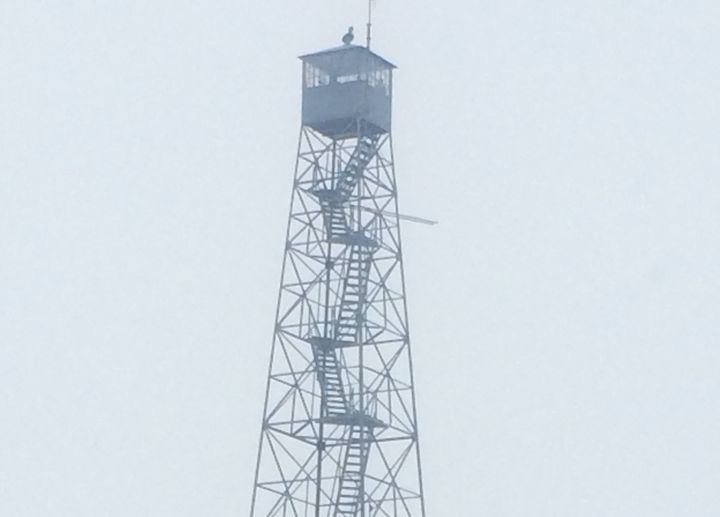 An occupied tower on the wildlife refuge in Oregon.