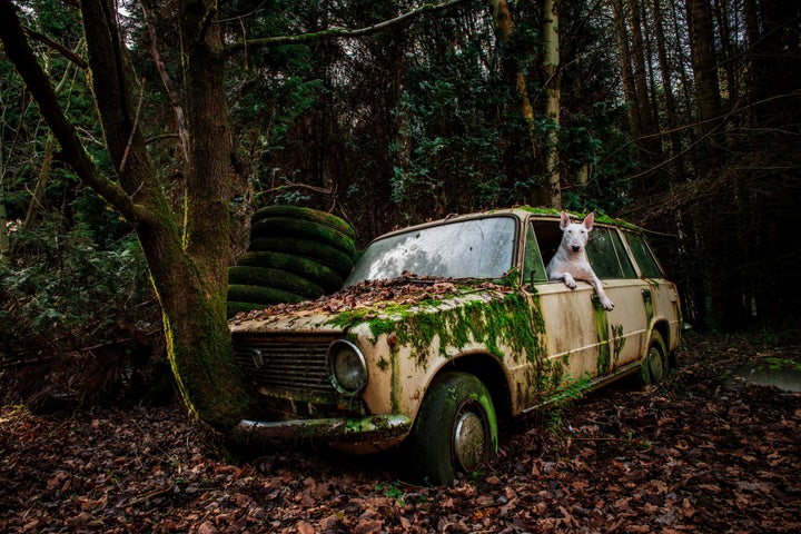 Claire driving an abandoned car in Belgium.