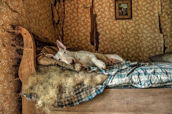 Claire relaxing in an abandoned house in Luxembourg.