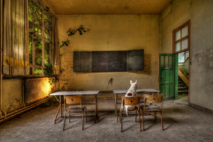 Claire studying in an abandoned school in Belgium.