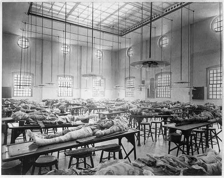 Partially dissected cadavers on tables in the dissecting room at the Jefferson Medical College in Philadelphia, PA, circa 1902.