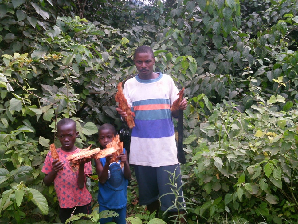 "This is the bark used by traditional healers in our community to treat Ebola. The process is to wash it until it is very cle