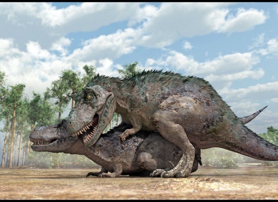 Pregnant T. Rex unearthed