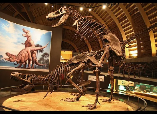 Take a Look at the Skeleton of a Pregnant T-Rex Dinosaur Called