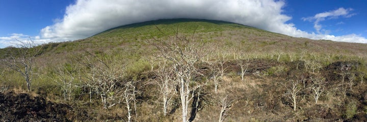 Volcano Wolf – the highest point of the Galápagos Islands.