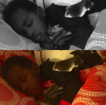 My 3-year-old son, Truman, and our Great Dane, Michael Jackson, both of whom I got to tuck into bed.