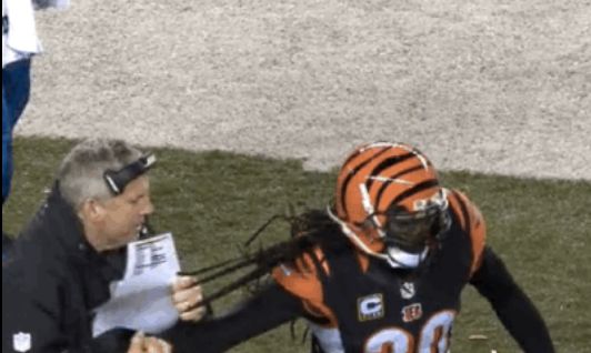 Steelers Coach Mike Munchak Freaking Pulled Bengals Safety Reggie Nelson's  Dreadlocks